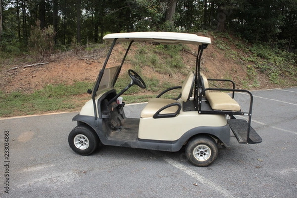Obraz Golf cart