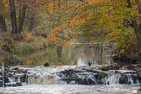 Obraz Rzeka płynąca przez jesienny las.