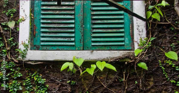 Obraz Beautiful vintage window