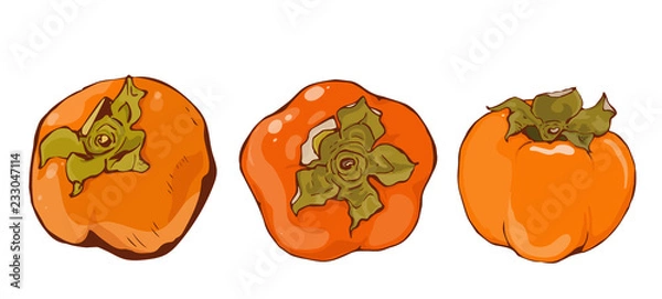 Fototapeta Bright vector set of colorful whole juicy persimmon. Fresh cartoon persimmon isolated on white background. Juice or jam logotype.