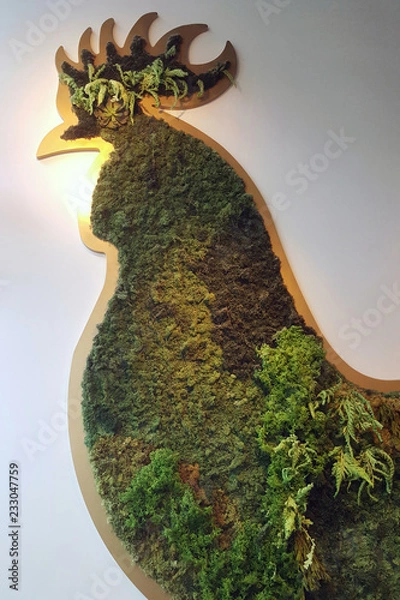 Fototapeta Forest in Chickens