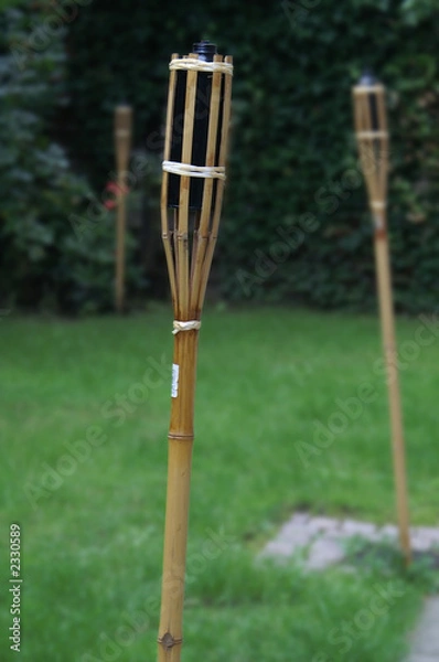 Obraz garden torches