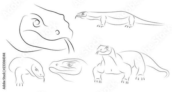 Fototapeta Running black line varan, dragon Komodo, on white background. Sketch style. Vector graphic icon animal.