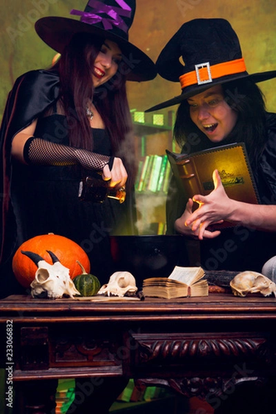 Fototapeta Photo of two witches brunettes in black hats brewing potion