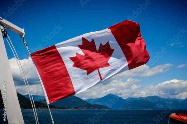 Obraz Canadian Flag