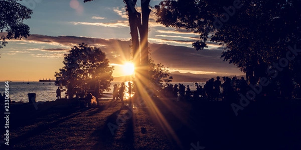 Obraz Summer Evening