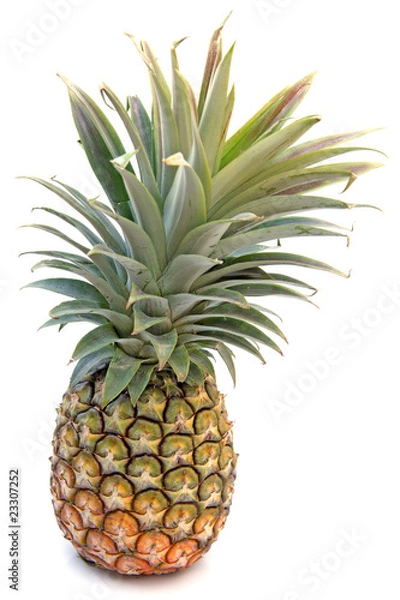 Fototapeta ananas tropical, fond blanc