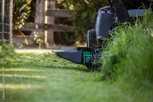 Obraz Mowing Long Grass