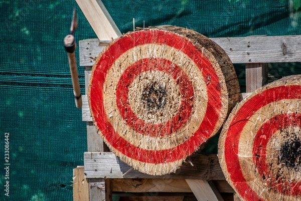 Obraz Axe flying to target center