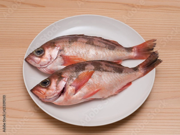 Fototapeta 煮物用に下ごしらえしたメバル
