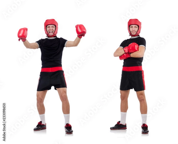 Obraz Funny boxer isolated on the white