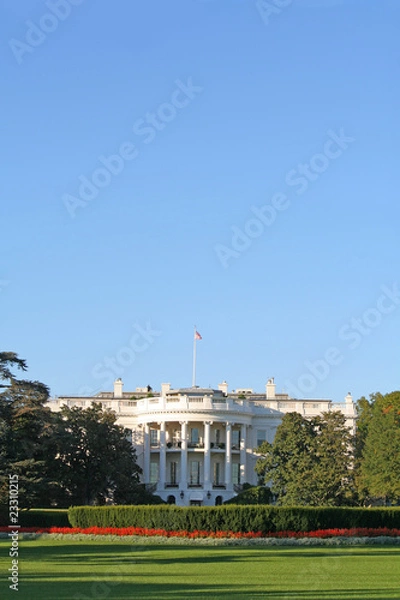 Obraz The White House