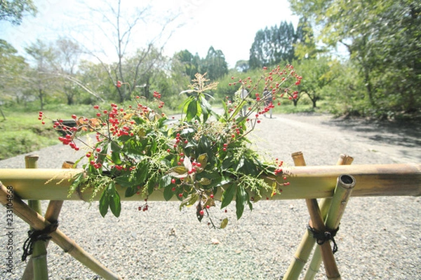 Fototapeta 　花の結界