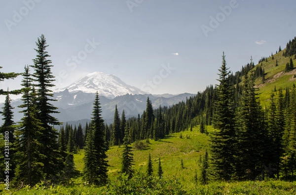 Obraz mountain trail with mount rainier view