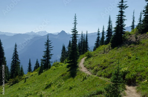 Obraz trail in mountain