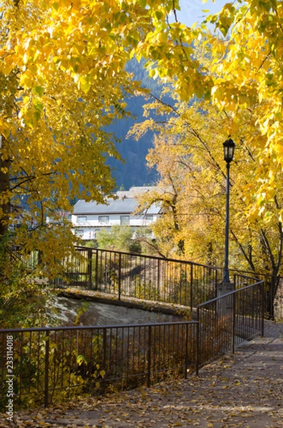 Obraz autumn in park