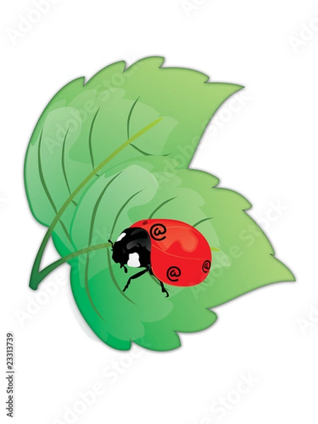 Fototapeta Ladybird with the e-commerce @