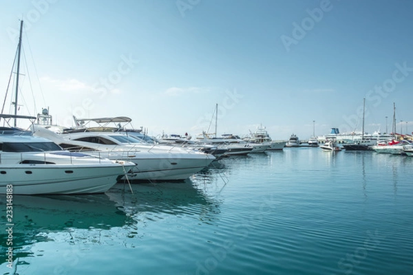 Obraz small boats and yachts are in the berth of the seaport of Sochi on the Black sea bright sunny summer day