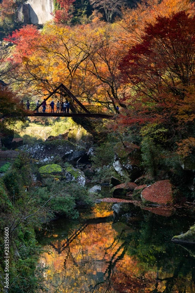 Fototapeta 一目八景