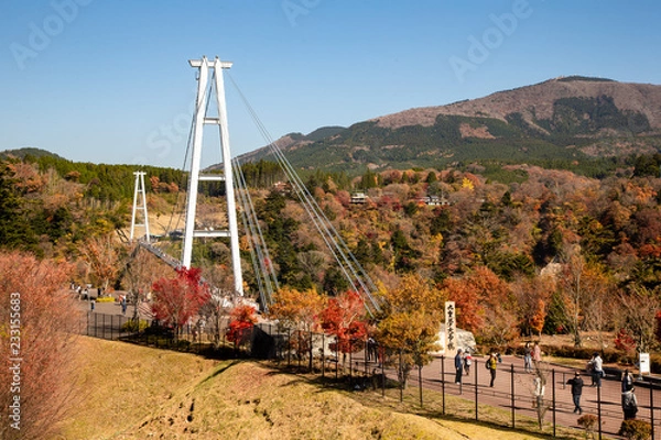 Fototapeta 九重夢大吊橋