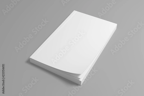 Fototapeta Blank 3D rendering soft cover book mockup.