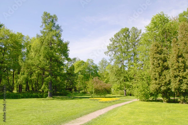 Obraz Spring park with walkway