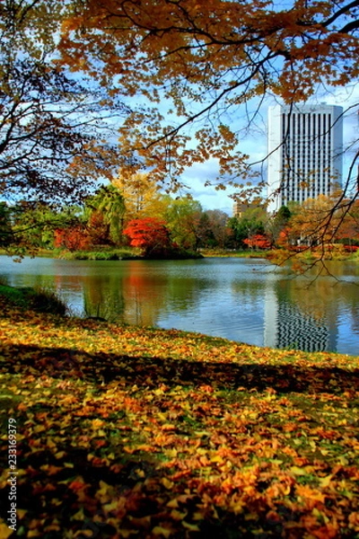 Fototapeta 北海道、札幌、中島公園の秋の風景