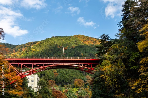 Obraz bridge over the river