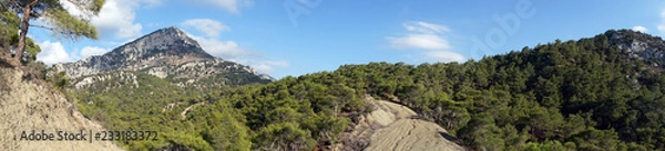 Fototapeta Abandoned road