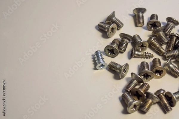 Obraz bolts on white background