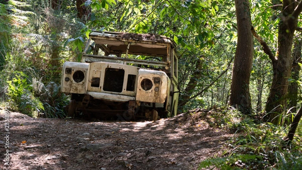 Obraz Abandoned car in the forest