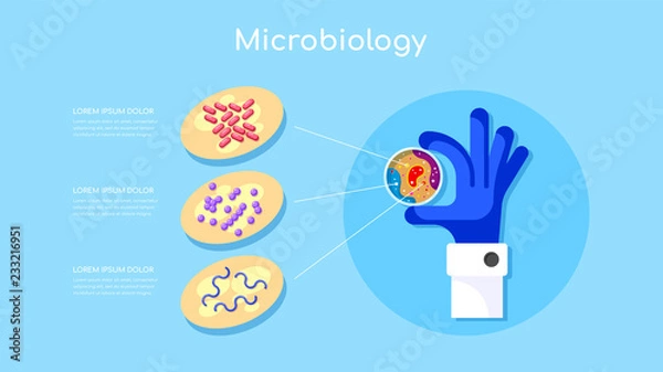 Obraz Microbiological research concept