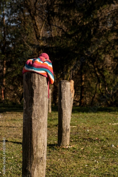 Fototapeta Zgubiona czapka
