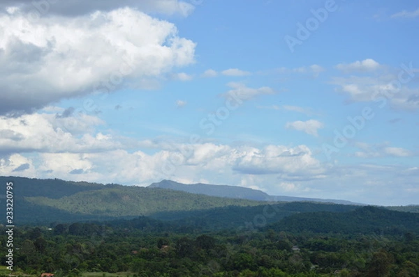 Fototapeta landscape of grass flower field blowing from wind on Khao Lon mountain in Thailand