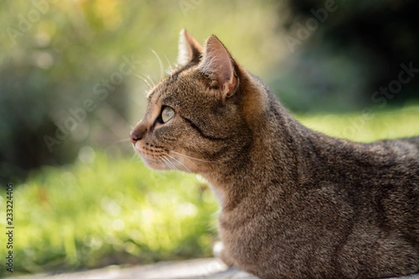 Obraz OLYMPUS DIGITAL CAMERA