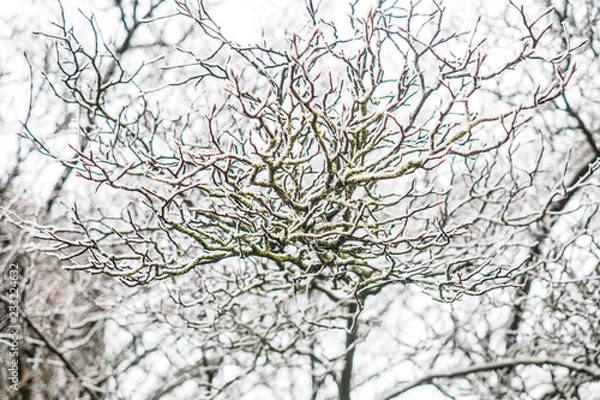 Obraz OLYMPUS DIGITAL CAMERA