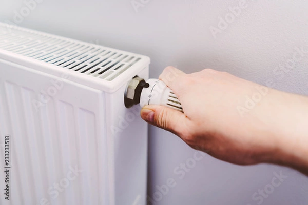 Obraz Man hand at battery temperature controller heating close up