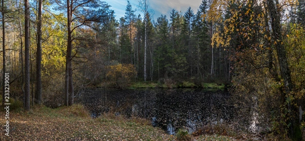Obraz lake in autumn forest