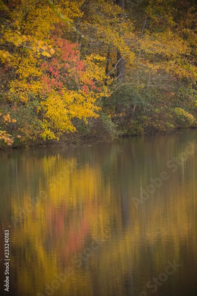 Fototapeta Autumn leaves reflecting on the water