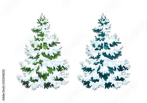 Fototapeta Realistic vector illustration of fir tree in snow on white background. Green and blue fluffy pines, isolated on white background 2.2