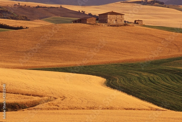Obraz campagna toscana