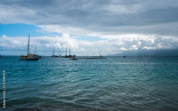 Fototapeta Annonce la tempête