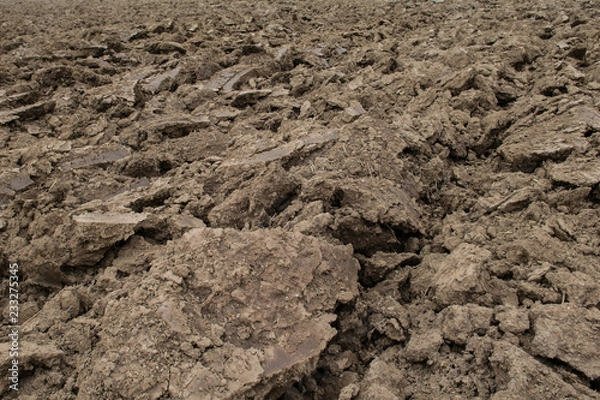 Fototapeta Ackerboden
