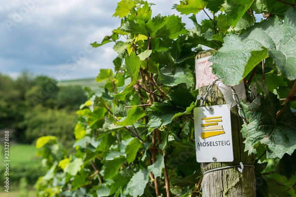 Fototapeta Moselsteig
