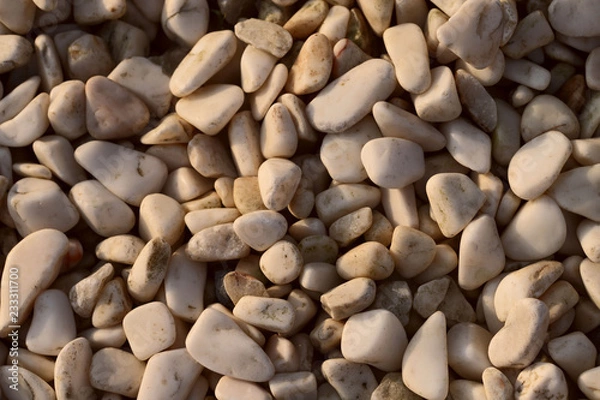 Fototapeta Background of smooth white pebbles. The concept of nature. Cropped shot, close-up, horizontal, top view