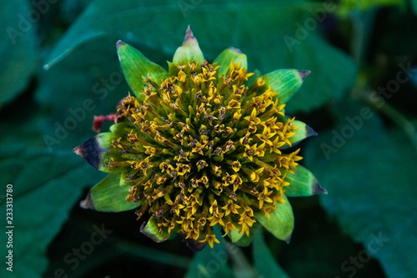 Obraz OLYMPUS DIGITAL CAMERA