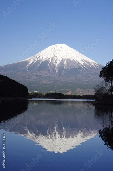 Obraz Mt.Fuji and Lake Tanuki
