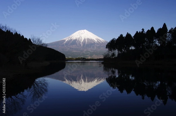 Obraz Mt.Fuji and Lake Tanuki