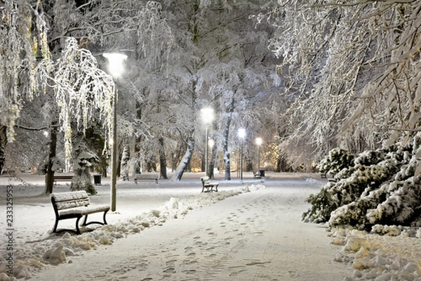 Fototapeta Park w nocy pokryty świeżym śniegiem. Miasto nocą.