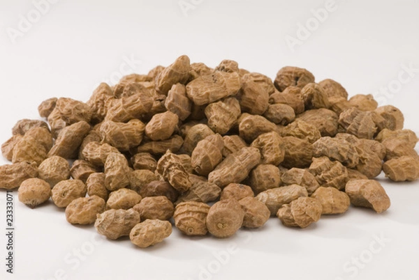 Obraz Tiger nuts.